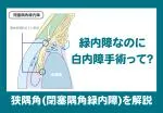 2e95cc253adc72194bf76dab4d8f806033cf6c2fbd4a7c5c340f3e44ad0f0f4b