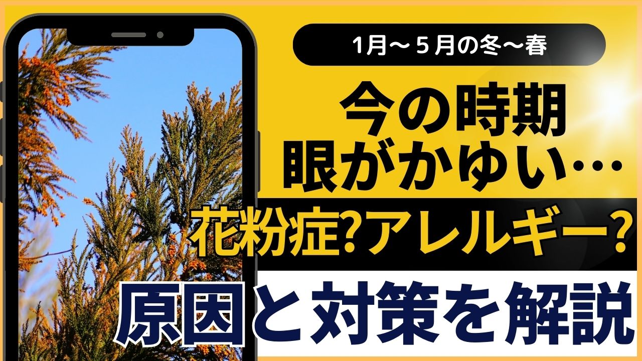 2月〜】今の時期眼がかゆい…花粉症?アレルギー?原因と対策を解説【北区王子】 - 王子さくら眼科｜北区王子駅前の眼科・日帰り白内障手術（徒歩30秒）