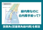 2e95cc253adc72194bf76dab4d8f806033cf6c2fbd4a7c5c340f3e44ad0f0f4b